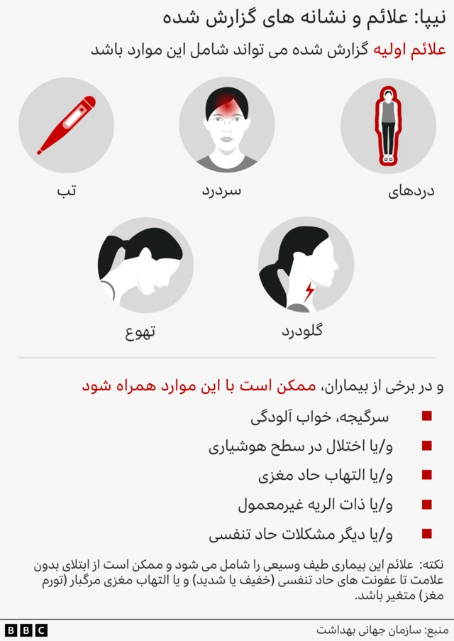 تصویر گرافیکی از علائم ویروس نیپا