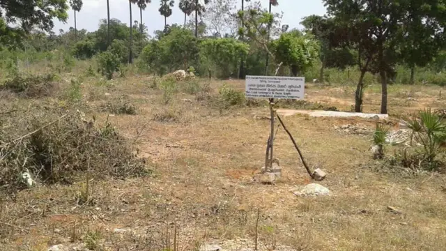 tissa Vihara