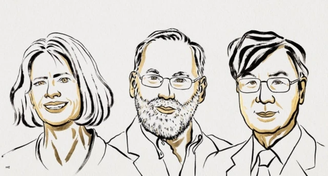 Mary Brunkow, Fred Ramsdell ve Shimon Sakaguchi