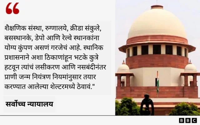 ग्राफिक्स