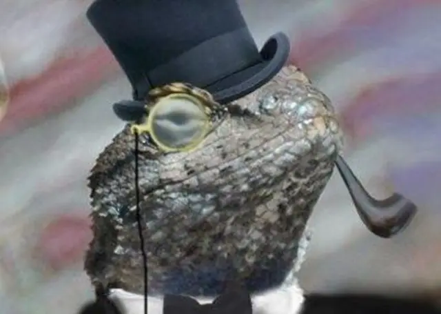 የሊዛርድ ስኳድ አባላት በመመንተፋቸው ይኮራሉ