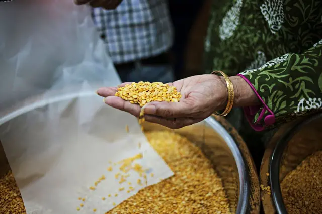 તુવેર, તુવેરદાળ, ગુજરાત, ગુજરાતમાં પાક, ગુજરાતની ખેતી, ભારતમાં ખેતી, કૃષિ, કઠોળ, બીબીસી ગુજરાતી