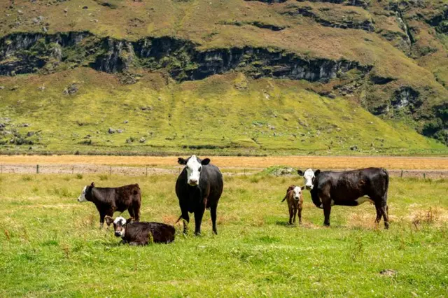 પ્રતીકાત્મક તસવીર