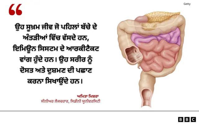 ਸੂਖ਼ਮ ਜੀਵ 