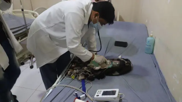 हेपटाइटिस बी