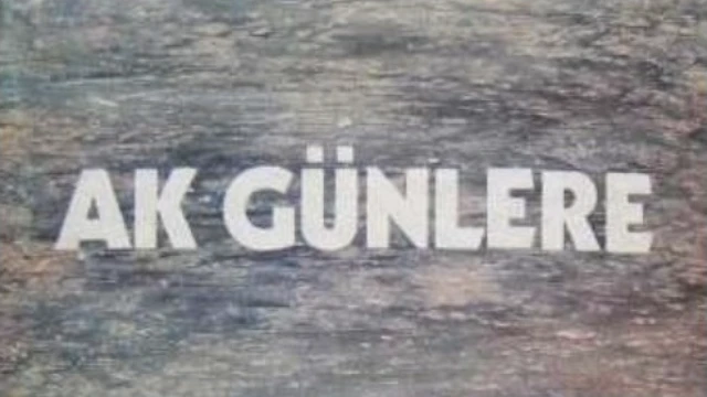 CHP'nin 1973'te seçim bildirgesi