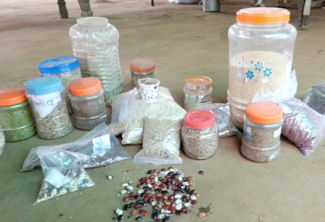 અરવલ્લી બીજ બૅન્ક 