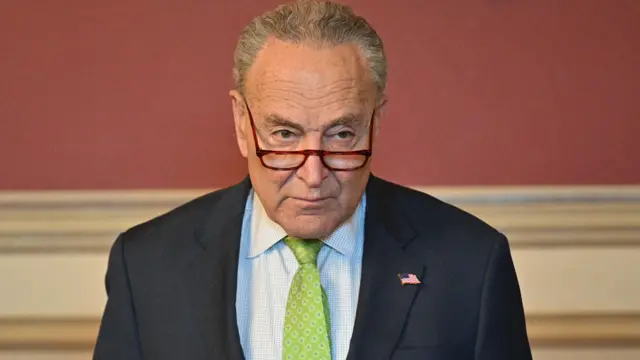 Сенатор Чак Шумер смотрит поверх очков (фото 22 января)