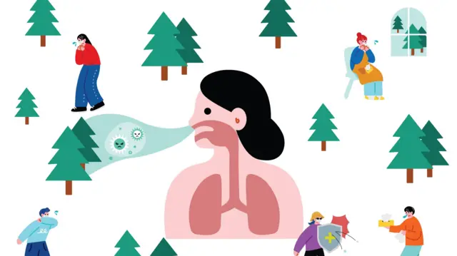 صورة تعبيرية لما يعانيه المصابون بحساسية الربيع، تظهر صورة مرسومة لامرأة في الوسط وتظهر رئتًها ورُسم نفسها باللون الأخضر للدلالة على صعوبة التنفس. هناك بعض الأشجار والأشخاص الذين يظهر أنهم منزعجون بسبب قُرب هذه النباتات في موسم الإزهار