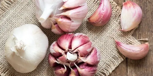 L'ail est très important dans la cuisine.