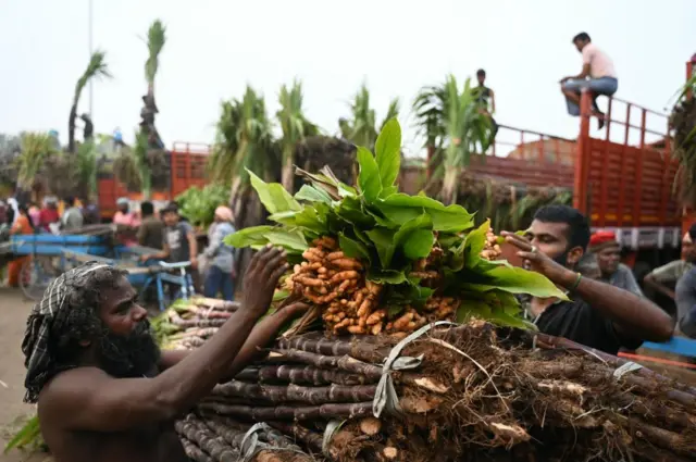 பொங்கல் பண்டிகை, தமிழர் திருநாள், தை, வரலாறு 