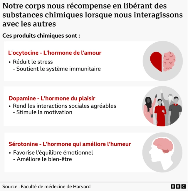 Graphique illustrant les trois substances chimiques libérées lors des interactions sociales. Texte&nbsp;: L’ocytocine, l’hormone de l’amour, réduit le stress et renforce le système immunitaire. La dopamine, l’hormone du plaisir, procure une sensation de bien-être et stimule la motivation. La sérotonine, qui améliore l’humeur, favorise l’équilibre émotionnel et contribue au bien-être.