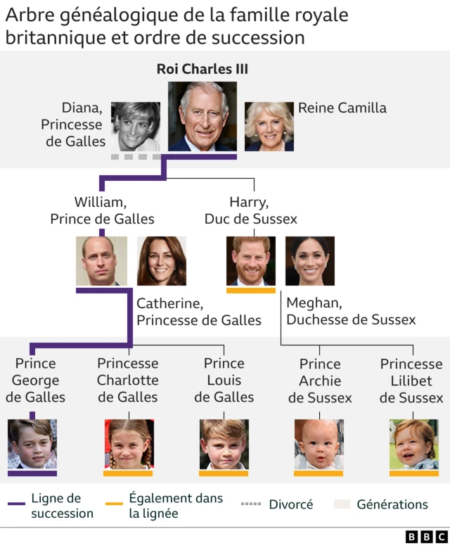 Arbre généalogique