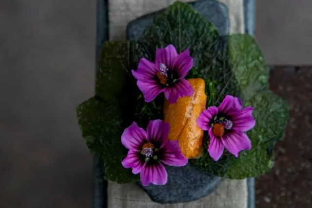 Prato com comida e flores rosas choque