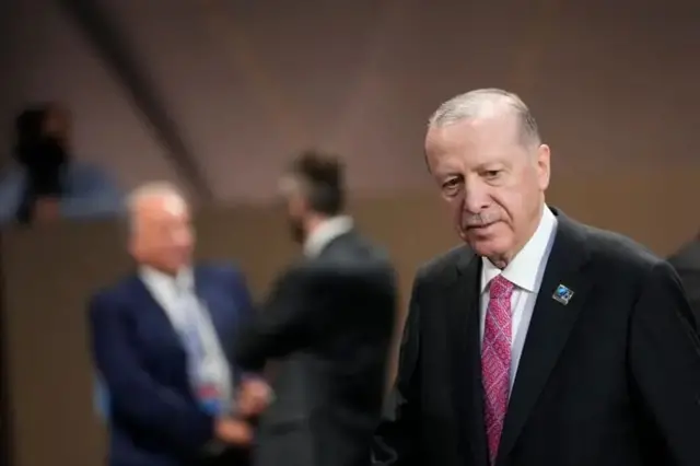 Tajiri Otzen: Wakati Erdogan anahisi kutishiwa kutoka upande mmoja, mara moja anarudi upande mwingine.