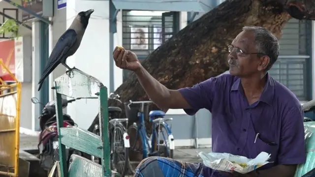 ரிக்‌ஷா தொழிலாளி செல்வராஜ் மற்றும் அவரிடம் நெருங்கிப் பழகும் அவரால் மீட்கப்பட்ட காகம்