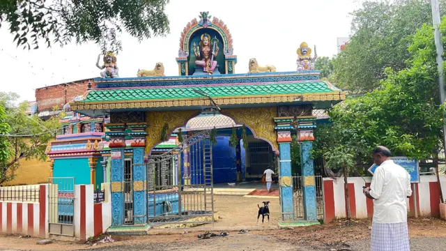 தமிழ்நாடு, இயற்கை, கனமழை, வெள்ளம், சுற்றுச்சூழல்