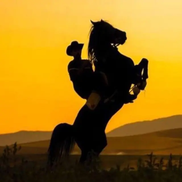 میلاد معروفی