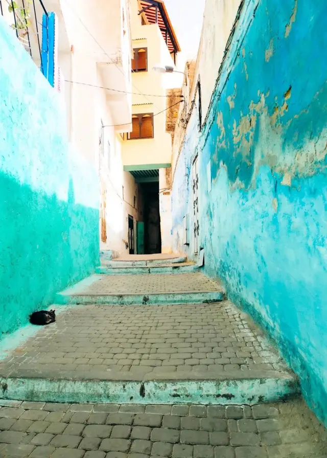 راہداریوں اور زینوں کو بھی رنگ کیا گیا ہے اور ایسا لگتا ہے کہ آپ واٹر کلر کی دنیا سے گزر رہے ہیں