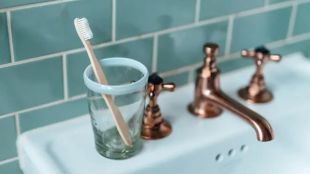 ਟੁੱਥਬ੍ਰਸ਼