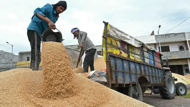 ਕਣਕ ਮੰਡੀ