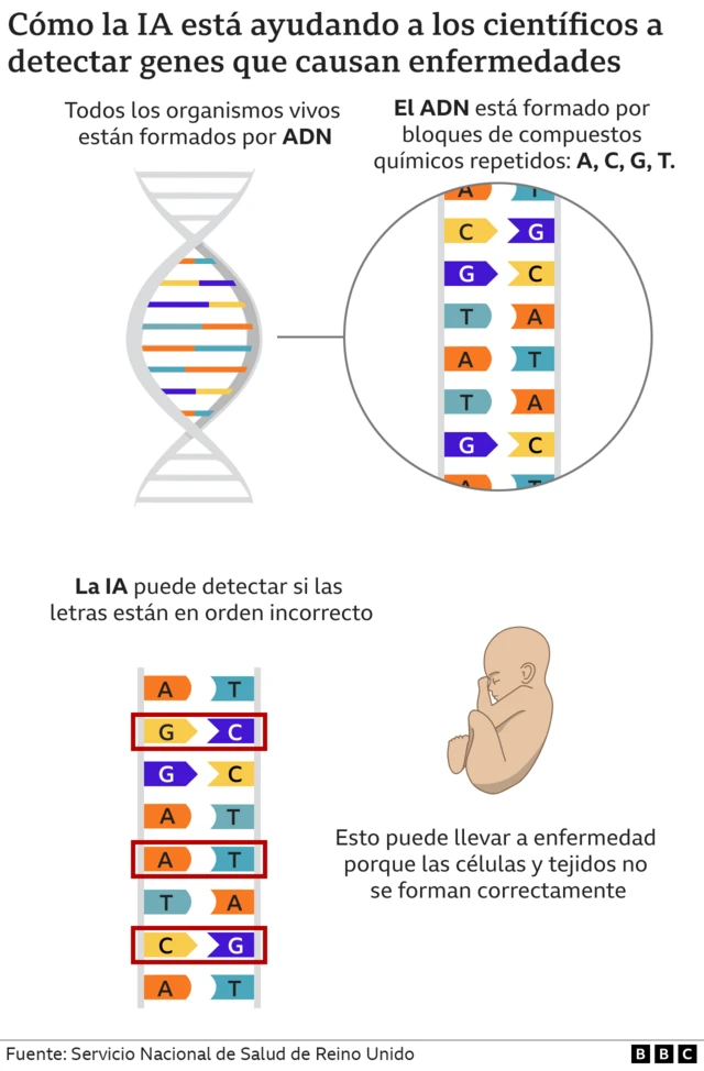 Infografía que indica cómo la inteligencia artificial está ayudando a detectar genes que causan enfermedades