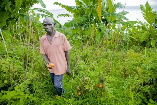 Venerando Ntawuyamara ahagaze mu karima k'iwe k'itomati afise n'urutomati mu kiganza c'i buryo, ku mutumba Gabaniro, Ndamukiza 2025