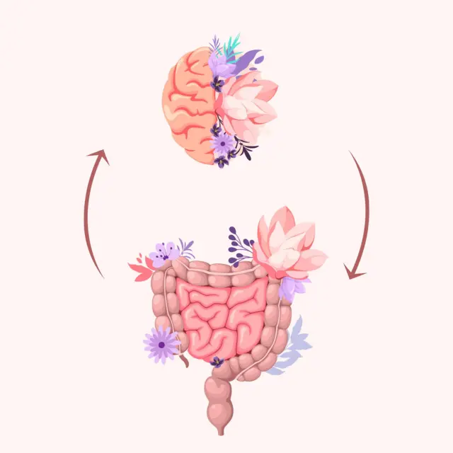 मेंदू आणि आतड्याचा काय संबंध आहे? तुमचा मूड, भावना मेंदूबरोबर आतडंसुद्धा कशा जपतं? वाचा