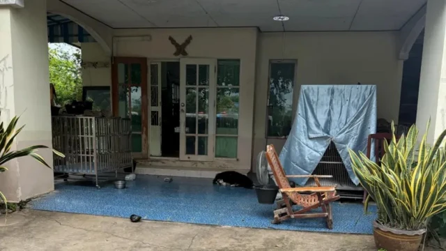 Вход в дом, возле которого стоит горшок с цветком и кресло-качалка