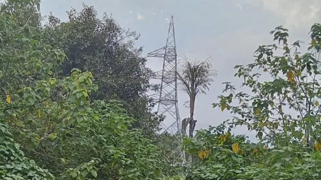 விவசாயம், விவசாயிகள், கோவை