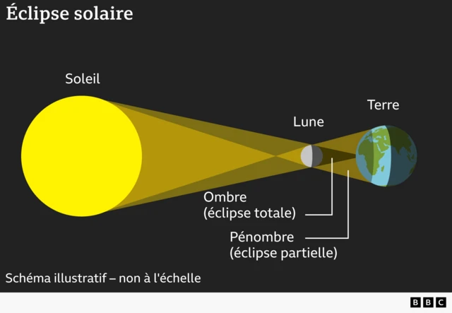 Un graphique illustrant comment la Lune projette une ombre sur la Terre : l'ombre se situe au centre, tandis que la pénombre est une zone plus étendue autour.