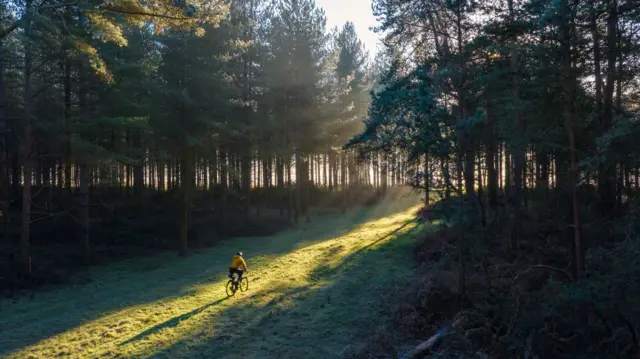 Ciclista pedalandocomo sacar o dinheiro da pixbetfloresta