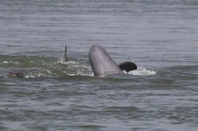 လင်းပိုင်ငယ်ကို ဖေဖော်ဝါရီလ ၁၉ ရက်တုန်းက မြင်တွေ့ရတာလို့ဆိုပြီး ကမ္ဘောဒီးယား အာဏာပိုင်တွေ သတင်းထုတ်