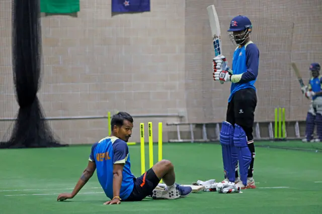 क्रिकेट 