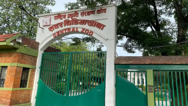 बर्ड फ्लूका कारण सदर चिडियाखाना बन्द गरिएको छ