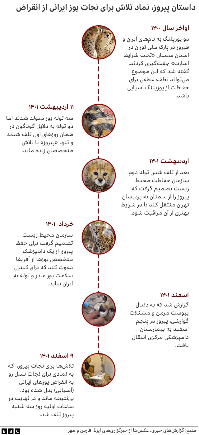 گاهشمار پیروز