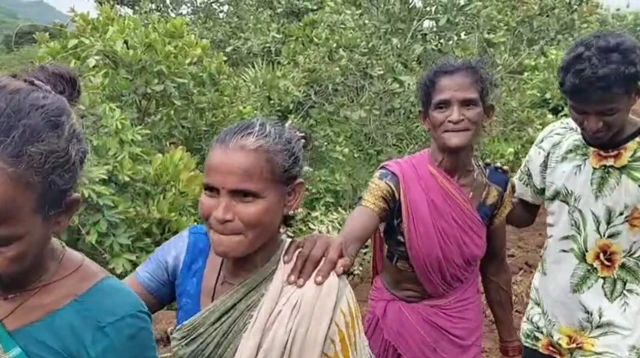 దింసా నృత్యం