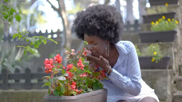 Wata mata na shinshina fure