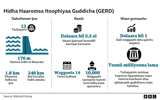 Hidha Haaromsa Itoophiyaa Guddicha lakkoofsaan