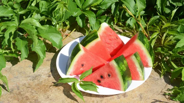 Buah semangka, yang berwarna merah, putih, hijau, hitam, seringkali dimaknai sebagai simbol dukungan terhadap Palestina