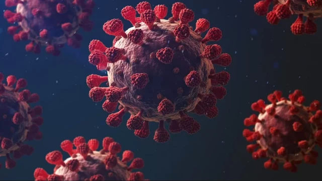 ကမ္ဘာ့ကျန်းမာရေးအဖွဲ့၊ ကိုဗစ်