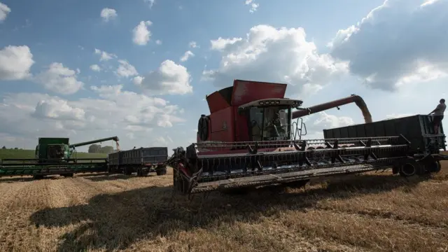 قرارداد غلات اوکراین را قادر ساخت تا ۳۳ میلیون تن غلات در یک سال صادر کند