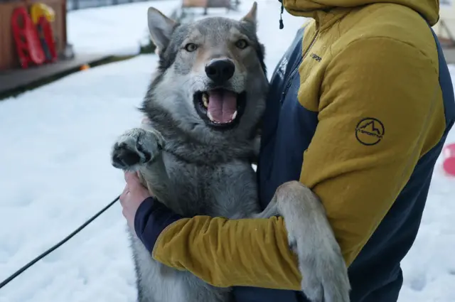 pas, pas na olimpijskim igrama, pas nazgul