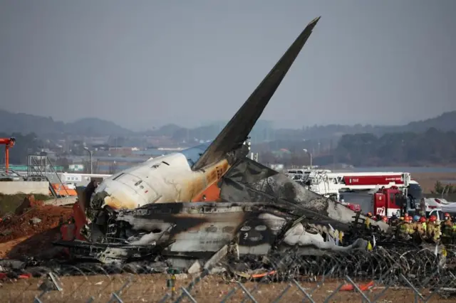 飛行機　事故 韓国で旅客機が滑走路外れ炎上 179人死亡、2人救助 - BBCニュース