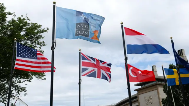 Lahey'de NATO zirvesinde farklı ülkelerin bayrakları