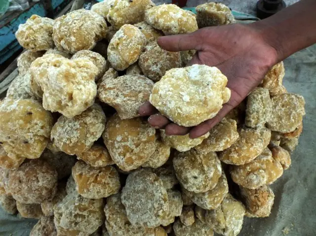 ਮਿੱਠੇ 'ਚ ਮਿਲਾਵਟ ਦਾ ਕਿਵੇਂ ਪਤਾ ਲੱਗਿਆ ਜਾ ਸਕਦਾ ਹੈ ?