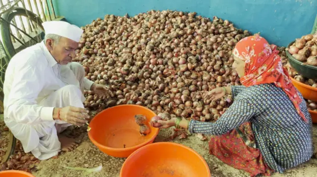 कांदा उत्पादक शेतकरी