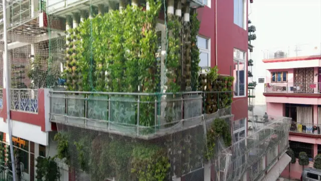 ہائیڈرو پونک