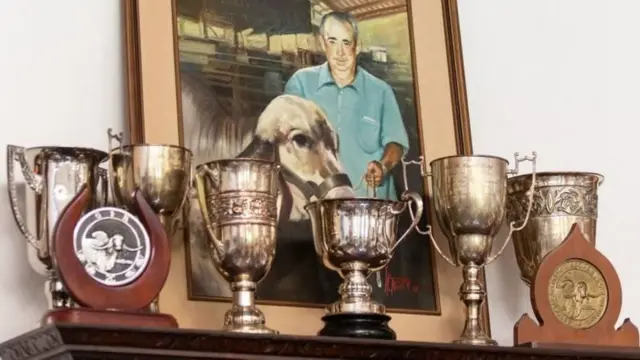 ब्राझीलमध्ये भारतीय गायींचा दबदबा