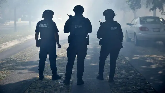 Fuerzas policiales desplegadas en México. 